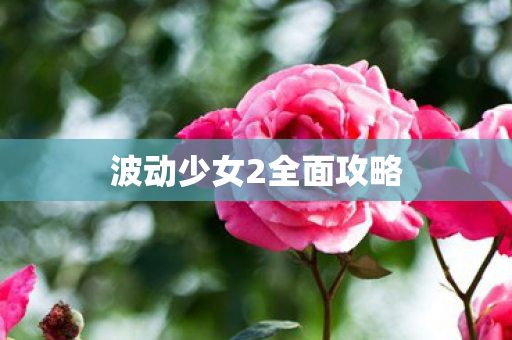 波动少女2全面攻略