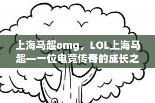 上海马超omg，LOL上海马超—一位电竞传奇的成长之路