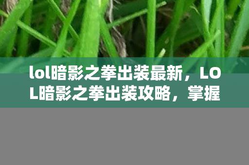 lol暗影之拳出装最新，LOL暗影之拳出装攻略，掌握这些装备让你成为战场主宰！