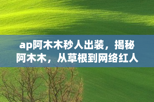 ap阿木木秒人出装，揭秘阿木木，从草根到网络红人的逆袭之路