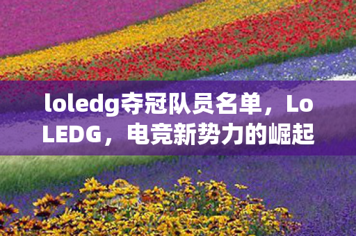 loledg夺冠队员名单，LoLEDG，电竞新势力的崛起与挑战