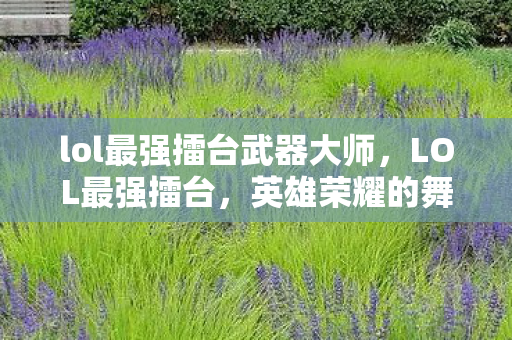 lol最强擂台武器大师，LOL最强擂台，英雄荣耀的舞台