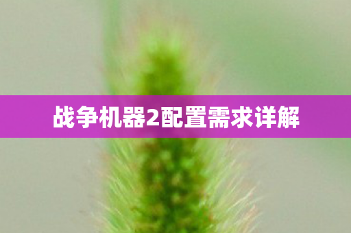 战争机器2配置需求详解