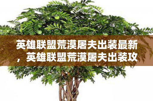 英雄联盟荒漠屠夫出装最新，英雄联盟荒漠屠夫出装攻略