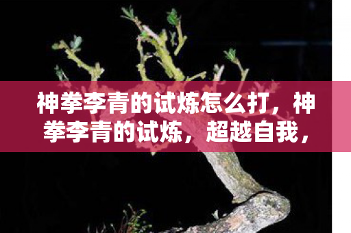 神拳李青的试炼怎么打，神拳李青的试炼，超越自我，拳拳到肉的成长之路