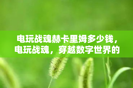 电玩战魂赫卡里姆多少钱，电玩战魂，穿越数字世界的热血激情