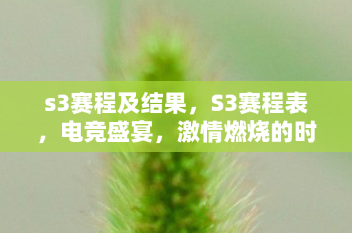 s3赛程及结果，S3赛程表，电竞盛宴，激情燃烧的时刻