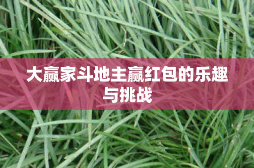 大赢家斗地主赢红包的乐趣与挑战