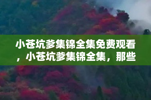 小苍坑爹集锦全集免费观看，小苍坑爹集锦全集，那些让人笑出泪水的瞬间