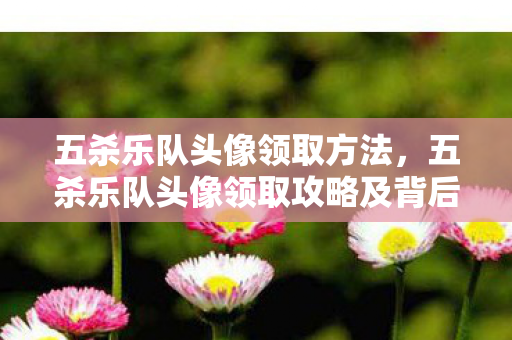 五杀乐队头像领取方法，五杀乐队头像领取攻略及背后故事揭秘