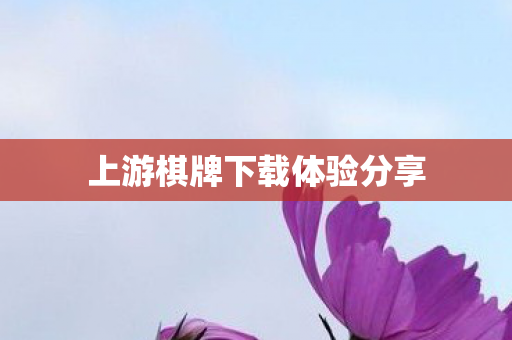 上游棋牌下载体验分享