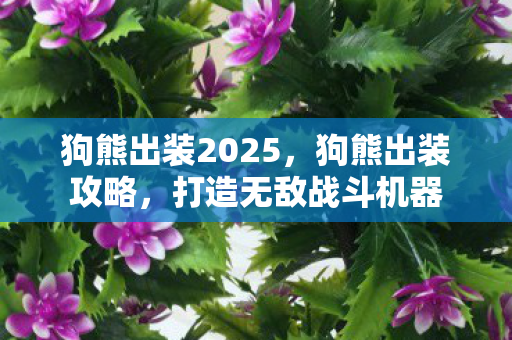 狗熊出装2025，狗熊出装攻略，打造无敌战斗机器