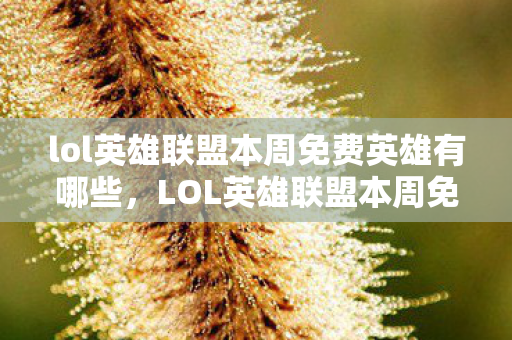 lol英雄联盟本周免费英雄有哪些，LOL英雄联盟本周免费英雄解析与攻略