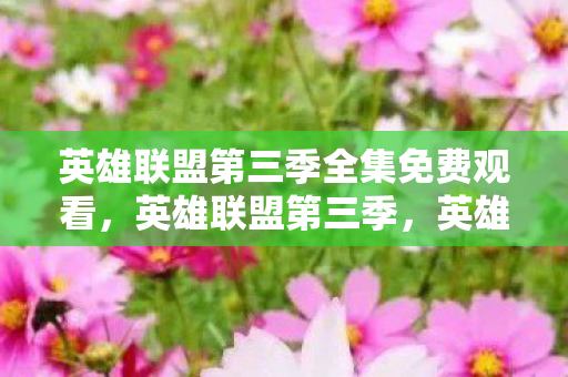 英雄联盟第三季全集免费观看，英雄联盟第三季，英雄们的荣耀与成长之路