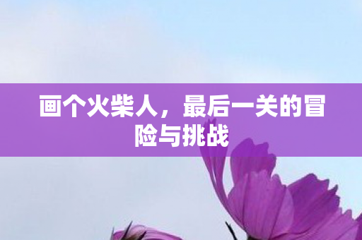 画个火柴人，最后一关的冒险与挑战