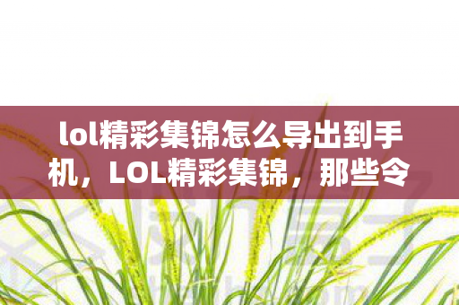 lol精彩集锦怎么导出到手机，LOL精彩集锦，那些令人热血沸腾的瞬间