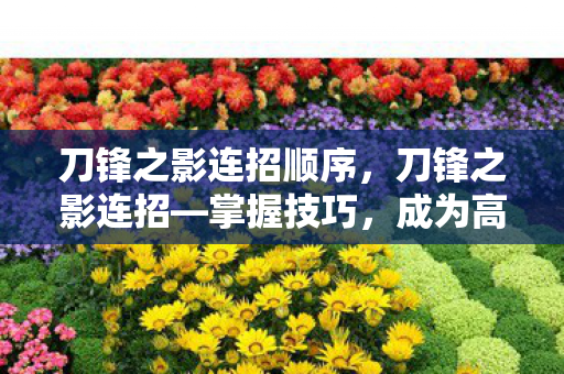 刀锋之影连招顺序，刀锋之影连招—掌握技巧，成为高手中的高手