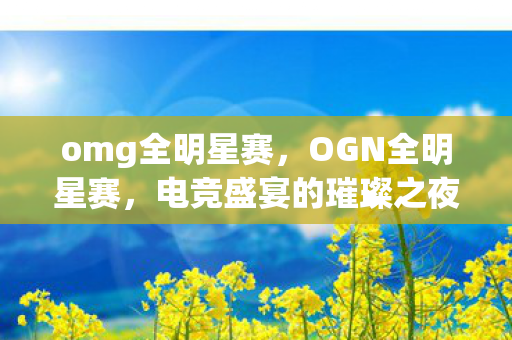 omg全明星赛，OGN全明星赛，电竞盛宴的璀璨之夜