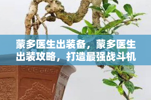 蒙多医生出装备，蒙多医生出装攻略，打造最强战斗机器