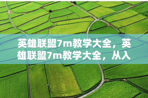 英雄联盟7m教学大全，英雄联盟7m教学大全，从入门到精通的游戏指南
