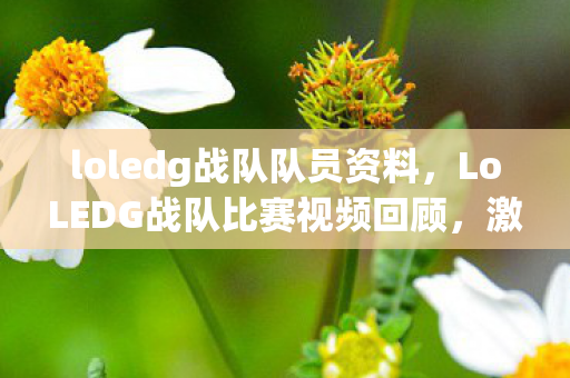 loledg战队队员资料，LoLEDG战队比赛视频回顾，激情与荣耀的碰撞