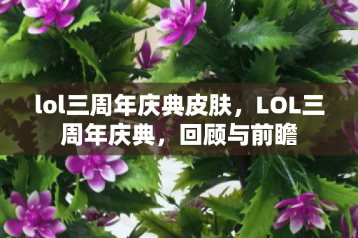 lol三周年庆典皮肤，LOL三周年庆典，回顾与前瞻