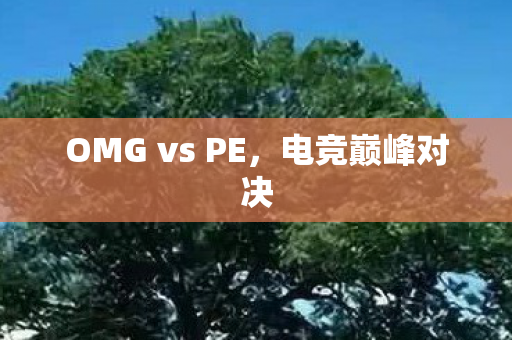 OMG vs PE，电竞巅峰对决
