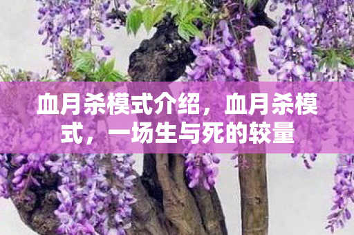 血月杀模式介绍，血月杀模式，一场生与死的较量