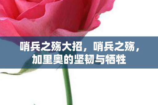 哨兵之殇大招，哨兵之殇，加里奥的坚韧与牺牲