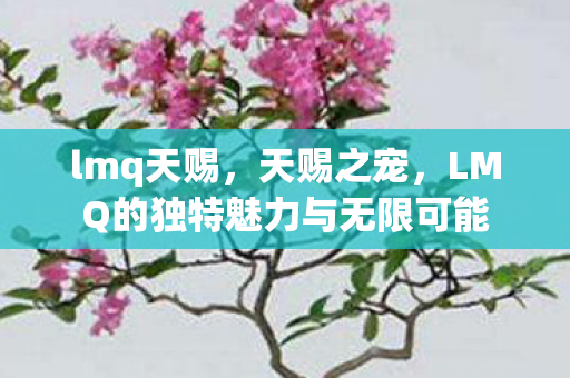 lmq天赐，天赐之宠，LMQ的独特魅力与无限可能