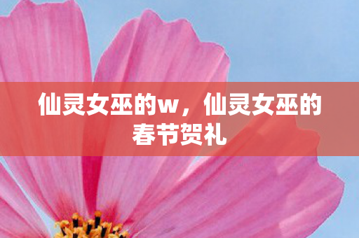 仙灵女巫的w，仙灵女巫的春节贺礼