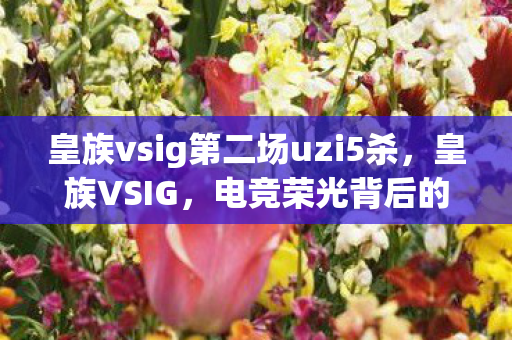 皇族vsig第二场uzi5杀，皇族VSIG，电竞荣光背后的故事