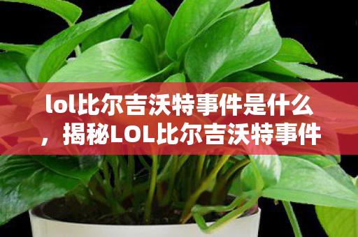 lol比尔吉沃特事件是什么，揭秘LOL比尔吉沃特事件，一场电竞风暴的始末