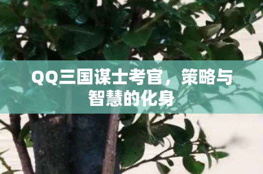 QQ三国谋士考官，策略与智慧的化身