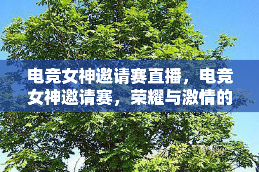 电竞女神邀请赛直播，电竞女神邀请赛，荣耀与激情的碰撞