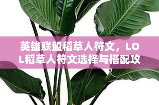 英雄联盟稻草人符文，LOL稻草人符文选择与搭配攻略