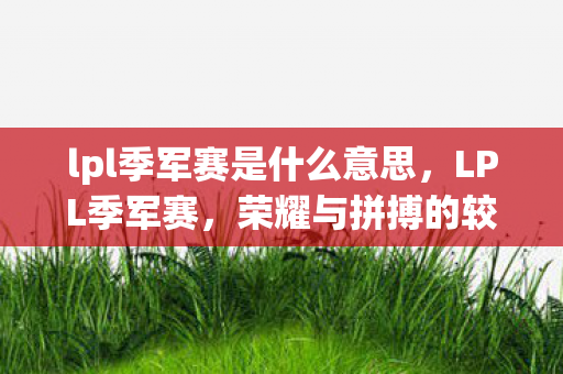 lpl季军赛是什么意思，LPL季军赛，荣耀与拼搏的较量