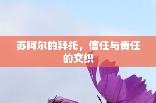 苏阿尔的拜托，信任与责任的交织