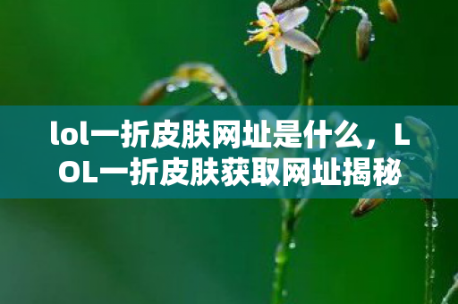 lol一折皮肤网址是什么，LOL一折皮肤获取网址揭秘
