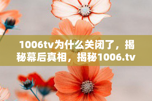 1006tv为什么关闭了，揭秘幕后真相，揭秘1006.tv背后的故事