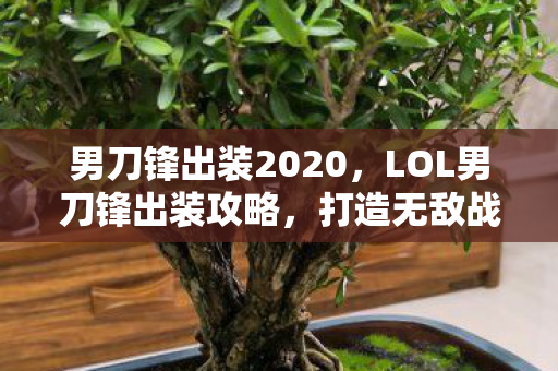 男刀锋出装2020，LOL男刀锋出装攻略，打造无敌战斗机器
