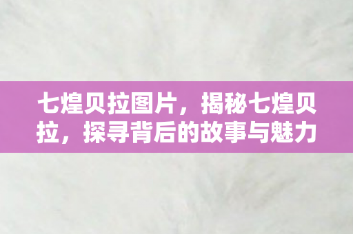 七煌贝拉图片，揭秘七煌贝拉，探寻背后的故事与魅力所在