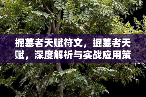 掘墓者天赋符文，掘墓者天赋，深度解析与实战应用策略