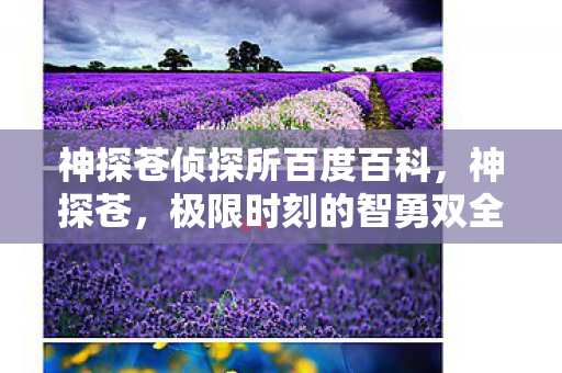 神探苍侦探所百度百科，神探苍，极限时刻的智勇双全