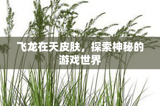 飞龙在天皮肤，探索神秘的游戏世界