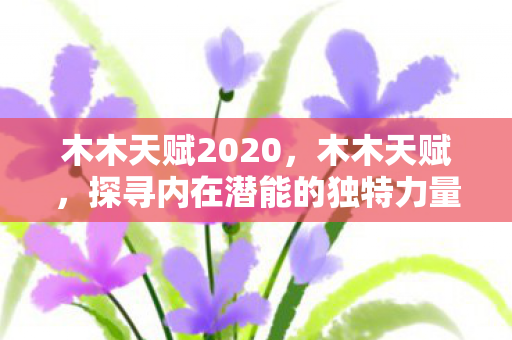 木木天赋2020，木木天赋，探寻内在潜能的独特力量