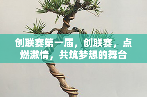 创联赛第一届，创联赛，点燃激情，共筑梦想的舞台