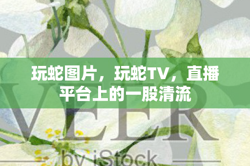 玩蛇图片，玩蛇TV，直播平台上的一股清流