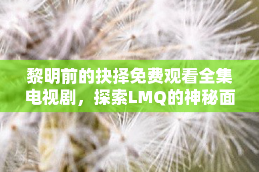 黎明前的抉择免费观看全集电视剧，探索LMQ的神秘面纱，一场电竞之旅的启示