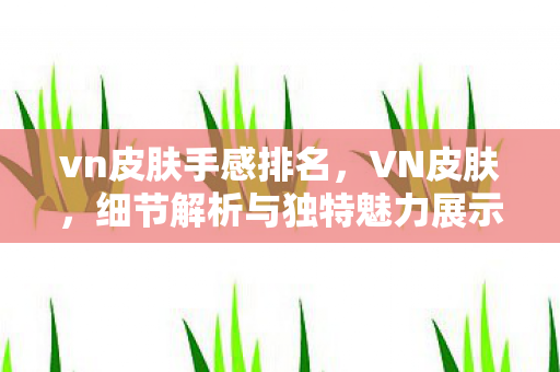 vn皮肤手感排名，VN皮肤，细节解析与独特魅力展示